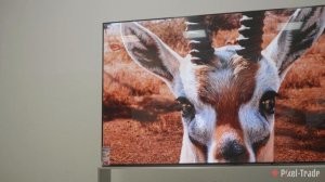 Самый большой 8к TV - 2 МИЛЛИОНА рублей!