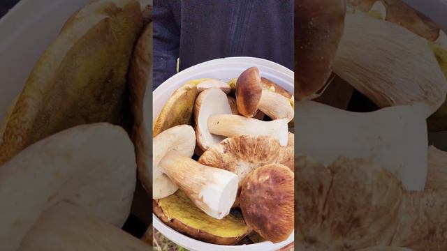 НУ ШО ТАМ У ВАС НА ДАЧЕ?😂