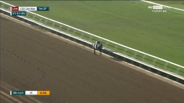 Juan Leyva - Galopador de Flightline смотреть онлайн