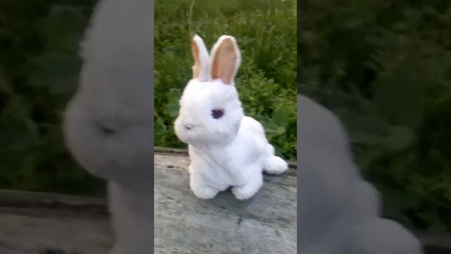 Я от него без ума! Крольченыш в коллекцию смотреть онлайн