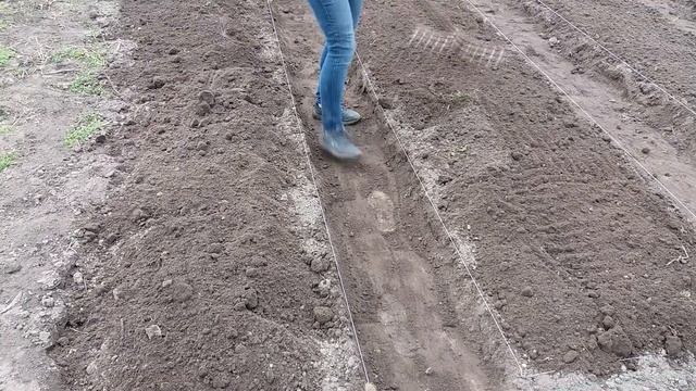 ДЕЛАЕМ ГРЯДКИ ИЗ КИРПИЧА / КАК СДЕЛАТЬ ГРЯДКИ ИЗ КИРПИЧА СВОИМИ РУКАМИ ? смотреть онлайн