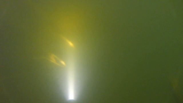 ПОДВОДНАЯ ОХОТА! В РИСОВОЙ СИСТЕМЕ! смотреть онлайн