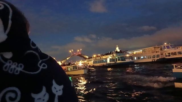 Санкт-Петербурге ночью с реки Мойки с выходом на реку Неву ?#санктпетербург #питер #впитере смотреть онлайн