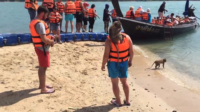 Остров обезьян | остров в Тайланде смотреть онлайн