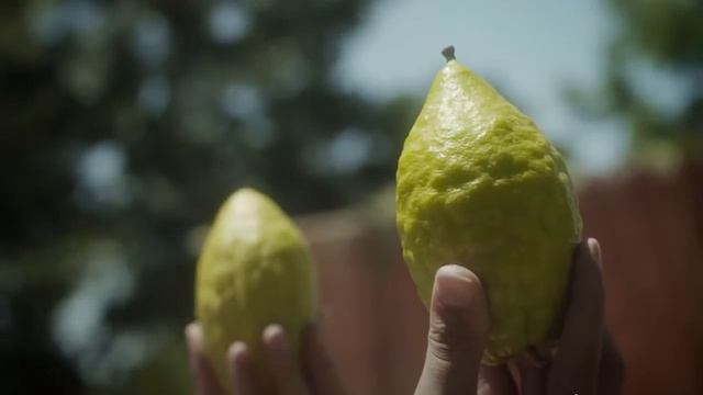 Сукот смотреть онлайн