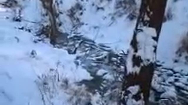 САМВЕЛ АДАМЯН РАСПЛАКАЛСЯ ВОЗЛЕ БОЛЬНИЦЫ. СЛУЧИЛОСЬ СТРАШНОЕ смотреть онлайн