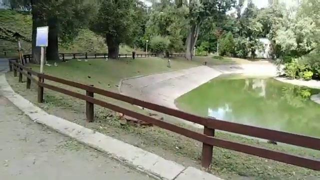 Время приключений. Глава 4: 3-ий день отдыха. смотреть онлайн