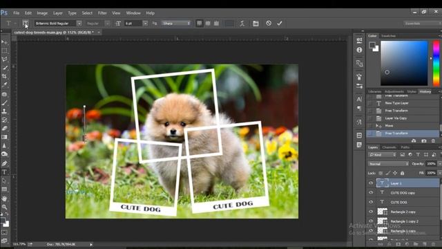 Multi photo border effect in photoshop | Photoshop tutorial | cover photo design | Anyone can desig смотреть онлайн