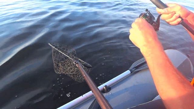 Ладога никогда не оставит без рыбы. Июль 2020. смотреть онлайн