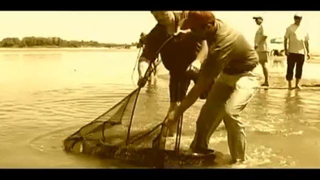 рыбацкий ликбез смотреть онлайн