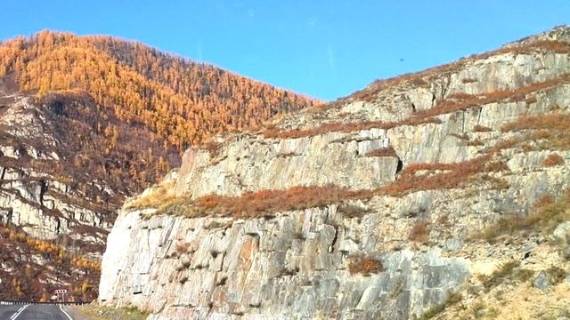 Настрой на оздоровление пальцев рук Сытин Г.Н. смотреть онлайн