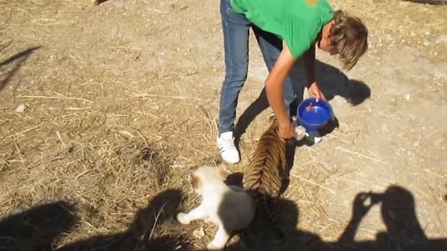 старший кипер Леокадия и её малыши смотреть онлайн