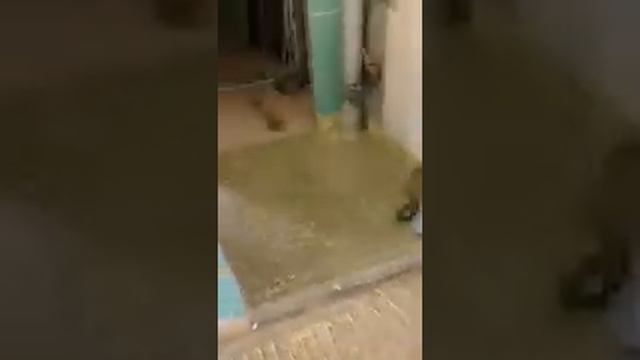 Полусухая стяжка пола во Владимире смотреть онлайн