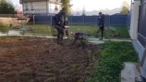 Подготовка основания под газон! Культивация грунта.