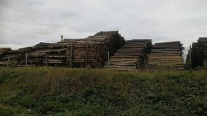 §33 "Европейский Север. Общие сведения", География 9 класс, Домогацких