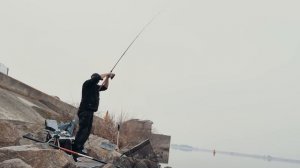 На что ЛУЧШЕ Ловится Плотва Весной: Пуфи или Пенопласт. Плотва на фидер