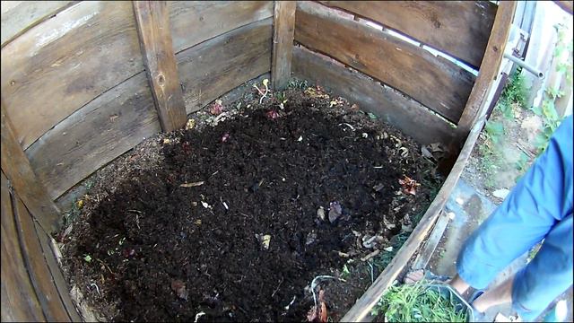 Подкормка Дендры в летнем червятнике. смотреть онлайн