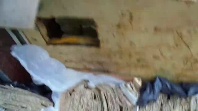 Дождевые черви размножение #655 смотреть онлайн