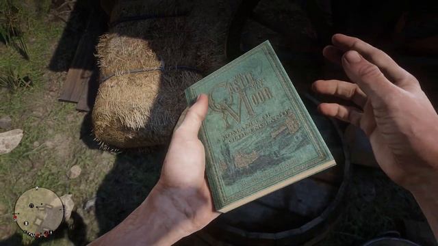 Что пишет в своем блокноте Мэри-Бет? | Запрос ручки от Мэри-Бет | Red Dead Redemption 2