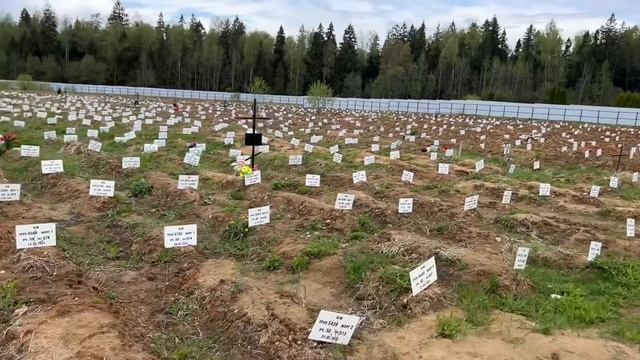 Кладбище потерянных людей, среди которых оказался наш друг… смотреть онлайн