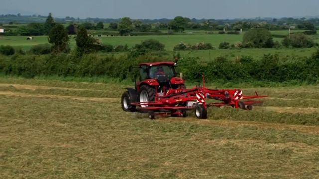 Lely Hibiscus Rake - 725 смотреть онлайн