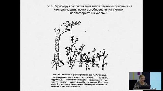 Жизненные формы растений, Панкратова Ирина Викторовна смотреть онлайн