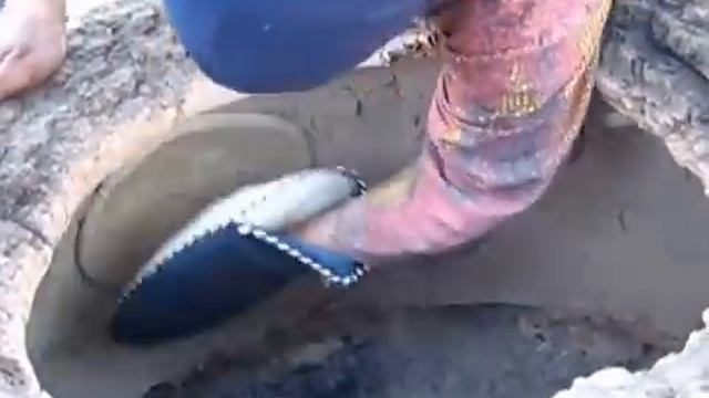 Анимационные Фильмы для Детей и Взрослых