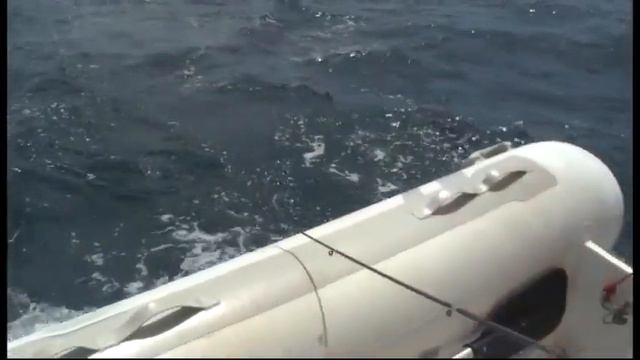 По следам пиратов Карибского моря смотреть онлайн