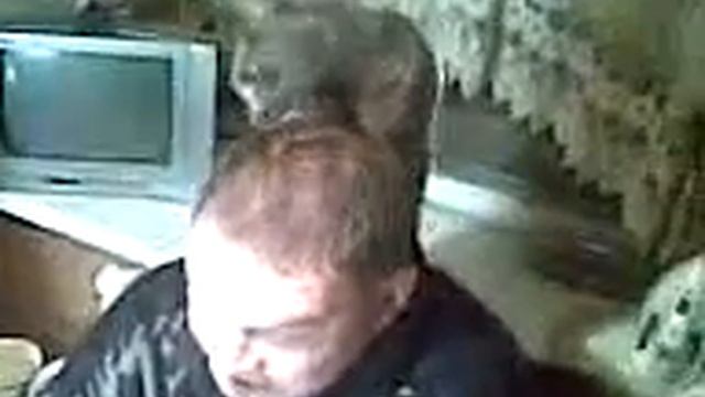 Видео0020.3gp смотреть онлайн