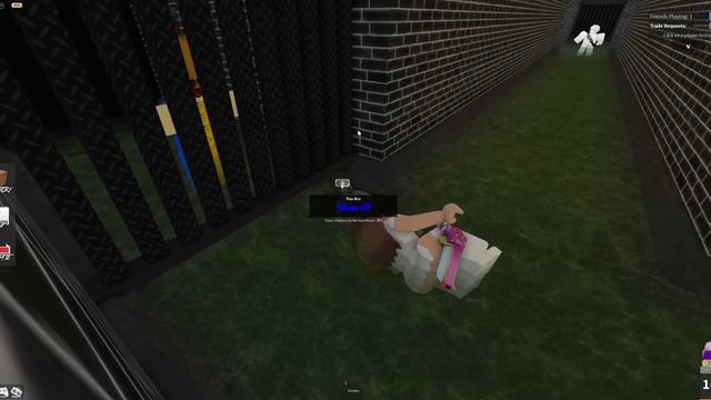 I HELPED a 5 YEAR OLD GET THEIR FIRST VICTORY in Roblox MM2! смотреть онлайн