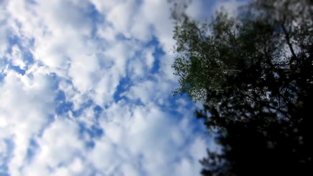 Заскрипелли (гусли & чело) смотреть онлайн