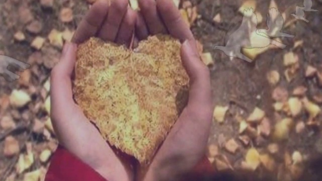 С ДНЕМ РОЖДЕНИЯ(10.02.2015) смотреть онлайн