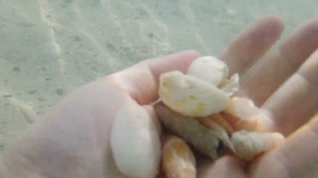 DJI Osmo Pocket Waterproof Case REVIEW | Ulanzi OP-10 | ENG SUB смотреть онлайн