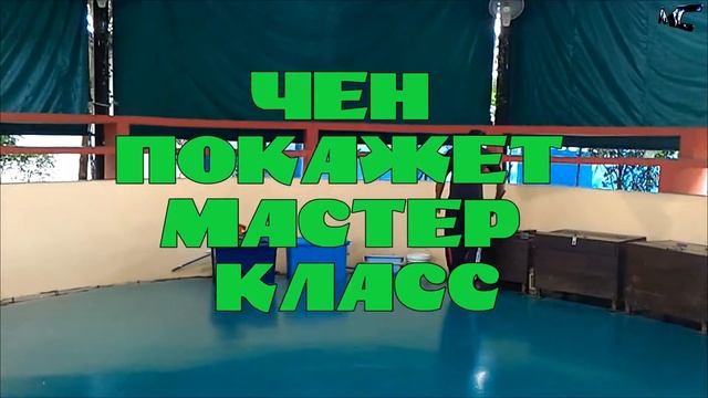 Завтрак в отеле/Овечья ферма/SHEEP FARM/Шоу Плавающий слон/floating elephant/Шоу змей/Паттайя смотреть онлайн