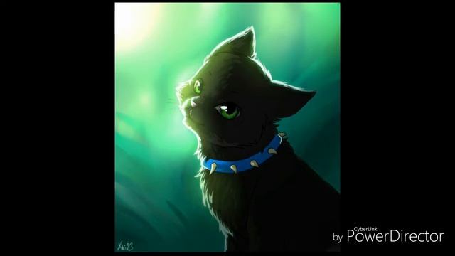 Самые милые картинки с котиками (кошатники сюда)??? смотреть онлайн