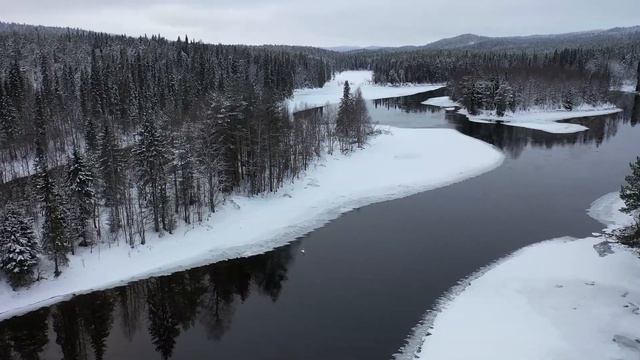 Лебеди зимой. Swans in winter. Relaxation. Лесная река. смотреть онлайн
