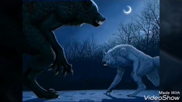 Нежелей врага черный волк смотреть онлайн