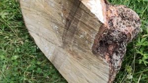 Что такое КАП и СУВЕЛЬ, чем они отличаются.