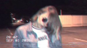 КЛИП на песню ПОШЛАЯ МОЛЛИ