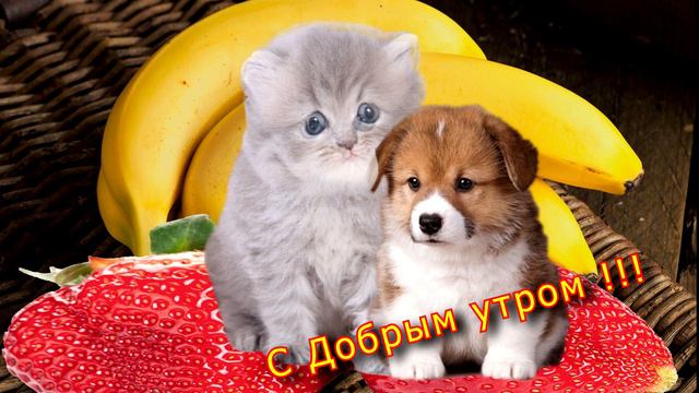 С Добрым утром. смотреть онлайн