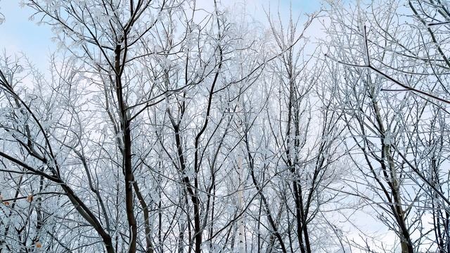 СТАРЫЙ НОВЫЙ ГОД.Приметы, обряды и гадания. смотреть онлайн