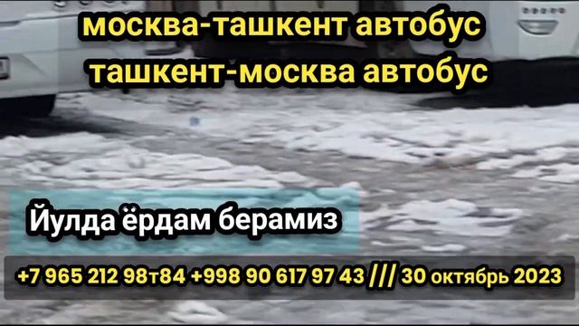 москва-ташкент автобус ташкент-москва автобус #tashkent #moskva #avtobus #tashkentmoskvaavtobus ￼ смотреть онлайн