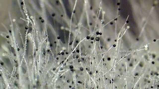 11 июля 2020 г. смотреть онлайн