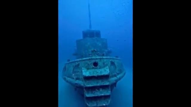 Затонувшие корабли(Sunken but) смотреть онлайн