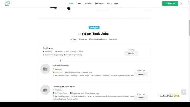 Jobica - Elementor IT Job Board WordPress Theme 15 job postings Website Builder смотреть онлайн