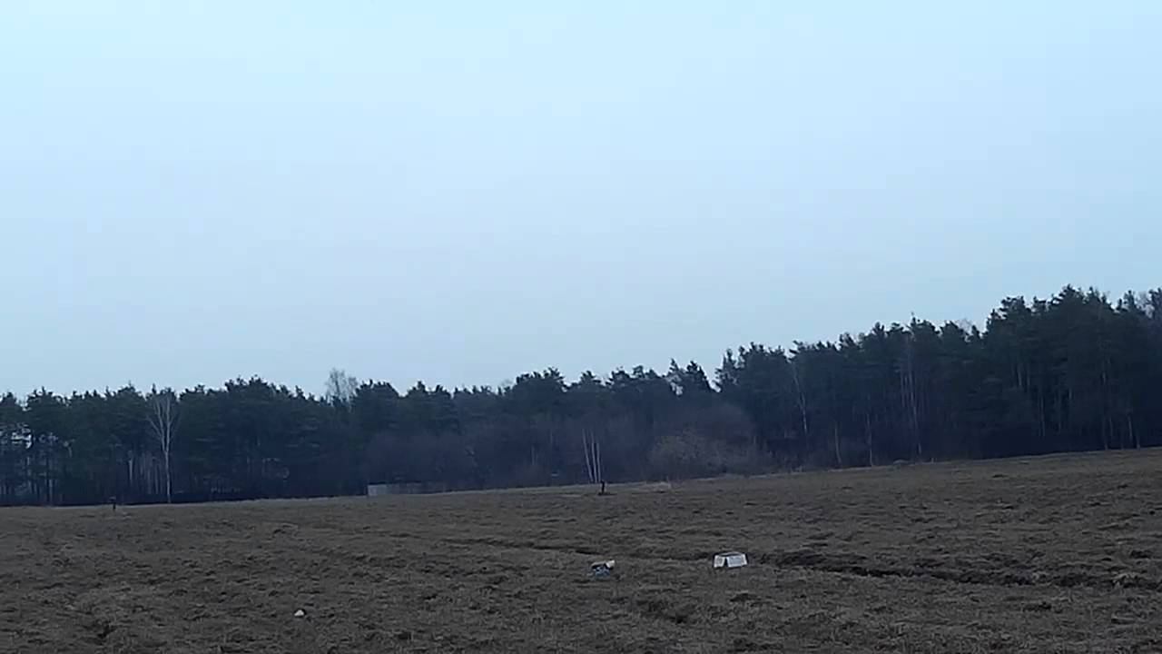 2016 0409 170457 022 смотреть онлайн