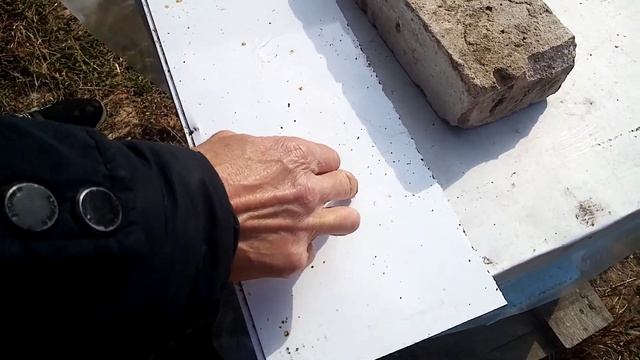 Результат 3 обработки пчел Бипином-Т. Сколько клеща упало? смотреть онлайн