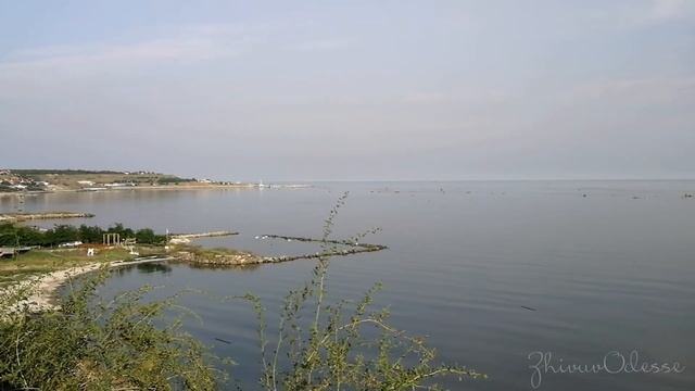 9.06.23 Одесса / в море плавает много мусора / опасно купаться смотреть онлайн