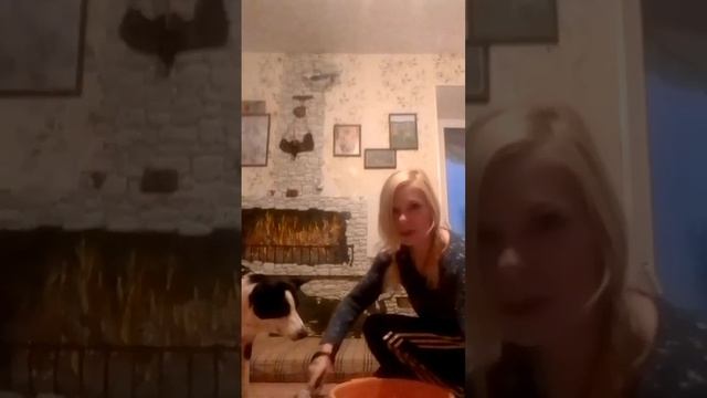 как научить Собаку мыть лапки смотреть онлайн