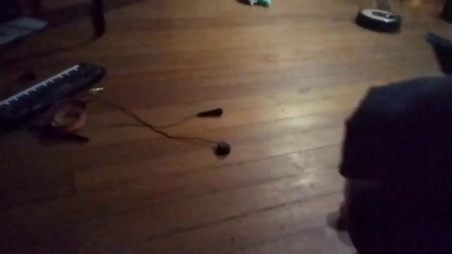 я теперь буду спать без своих родителях моя мечта сбылась?